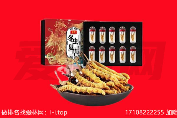 驻马店市回收虫草.jpg